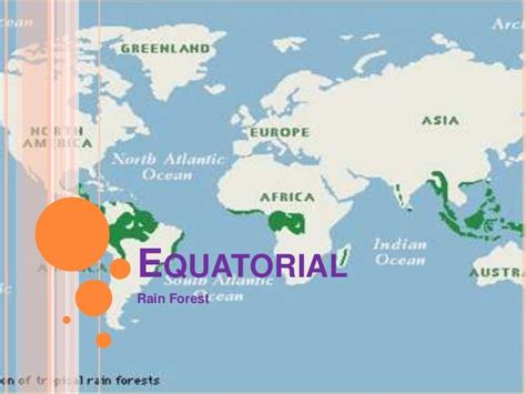 Equatorial climate. rainforests