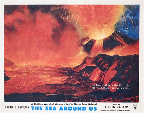 The Sea Around Us Original 1953 U.S. Scene Card - Posteritati Movie Poster Gallery