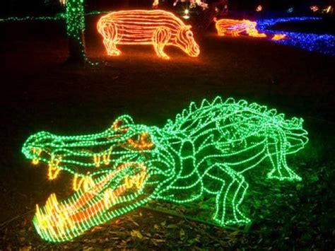 ZooLights | Decorating with christmas lights, Zoo lights, Christmas activities