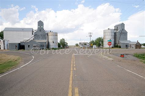 bruce selyem grain elevator photos