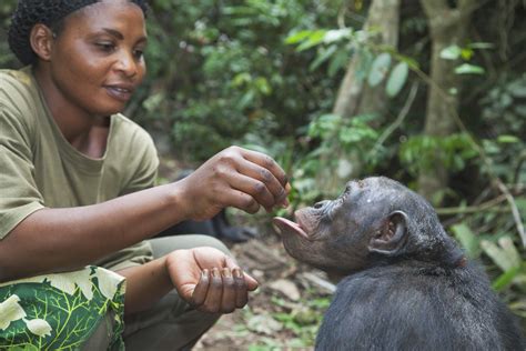 Are Wildlife Biologist And Zoologist The Same – MudFooted