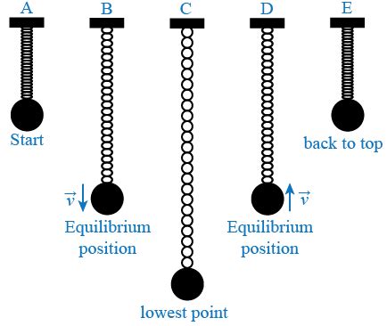 Simple Harmonic Motion – Concepts