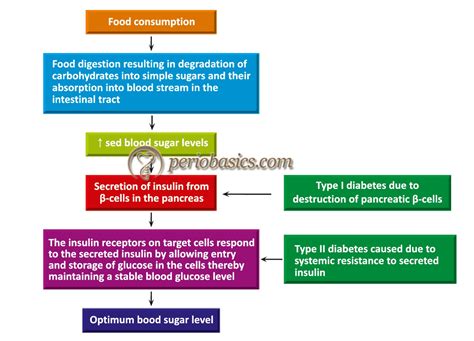 Diabetes and periodontitis: a bidirectional relationship – periobasics.com