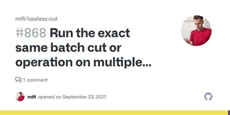 Run the exact same batch cut or operation on multiple files · Issue #868 · mifi/lossless-cut ...