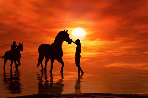 Horses At Sunset Wallpapers - Wallpaper Cave