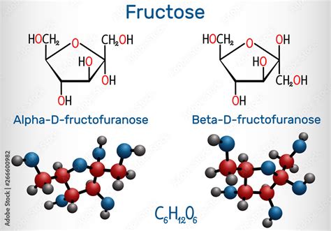 Fructose Cyclic Structure | Hot Sex Picture