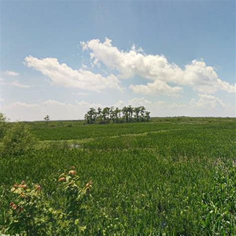 Jean Lafitte National Historical Park and Preserve in New Orleans, LA (Google Maps)