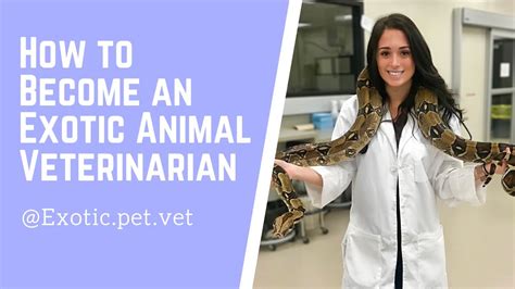 How to Become an Exotic Animal Veterinarian - YouTube