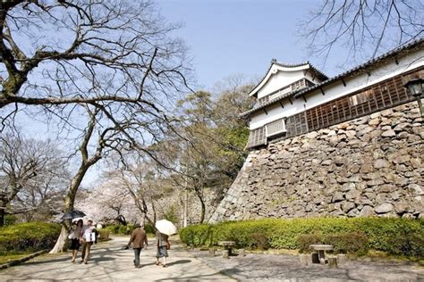 Fukuoka Castle - Shore Excursions Asia