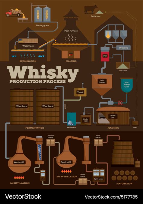 Whisky distillery production process infographics Vector Image