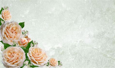 HD wallpaper: peach-colored roses wallpaper, greeting card, flower, wedding | Wallpaper Flare