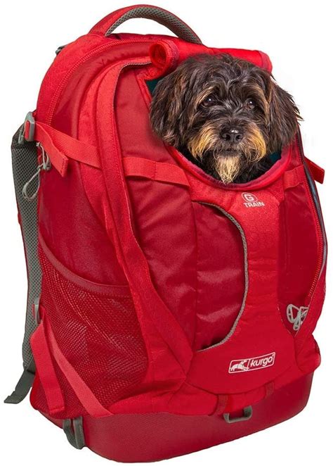Best Dog Backpack Carriers for Hiking | Outdoorish