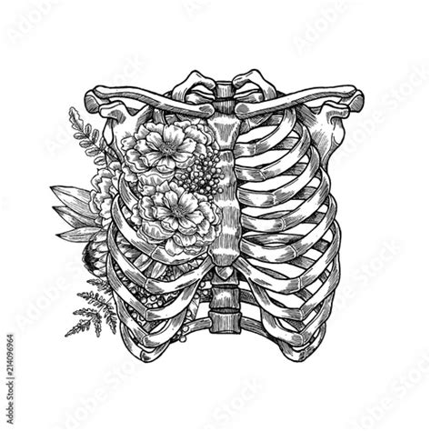 "Tattoo anatomy vintage floral illustration. Floral chest skeleton ...