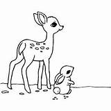 Deer And Rabbit Coloring Sheet sketch template