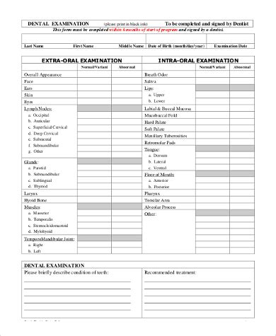 FREE 8+ Sample Dental Examination Forms in PDF | MS Word