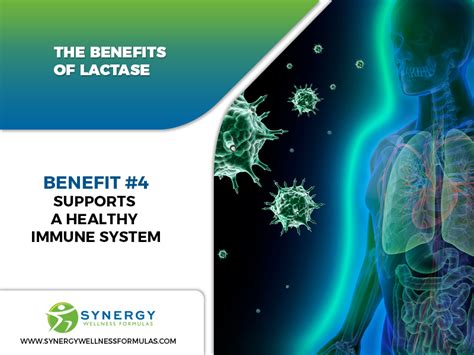 The Benefits Of Lactase - Synergy Wellness Formulas