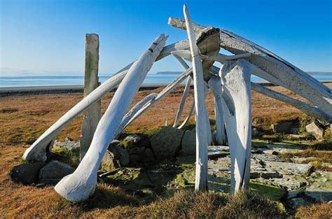 historic Inuit house from the Thule … – License image – 70318730 Image ...