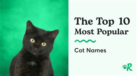 The 10 Most Popular Male and Female Cat Names - YouTube