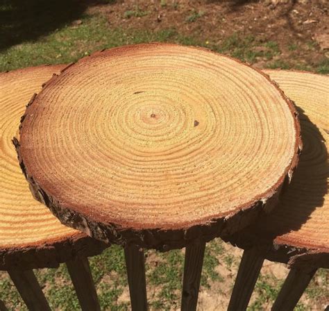 Set Of 20 - 11 Inch Wood Circles, Tree Circles, Wedding Reception ...