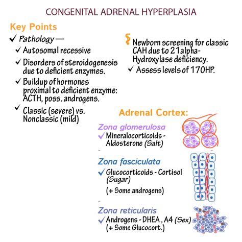 Clinical Pathology Glossary: Congenital Adrenal Hyperplasia | ditki ...