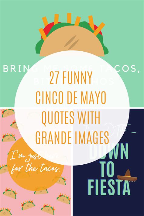 27 Funny Cinco De Mayo Quotes with Grande Images - Darling Quote