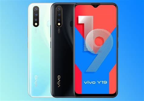 Vivo Y19 Launched In India For Rs 13,999