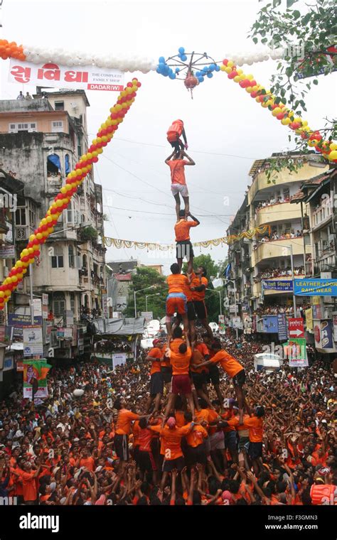 Shri Krishna janmashtami ; Govinda festival ; Mumbai Bombay ; Maharashtra ; India Stock Photo ...