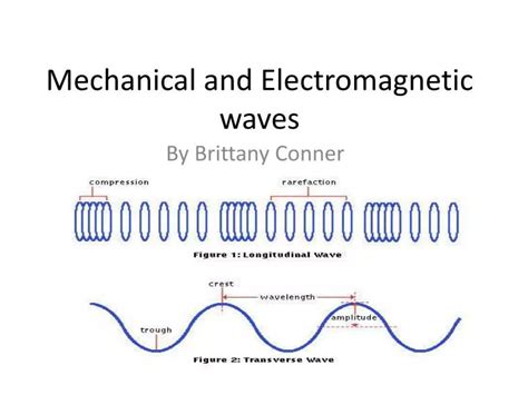 Mechanical And Electromagnetic Waves Venn Diagram