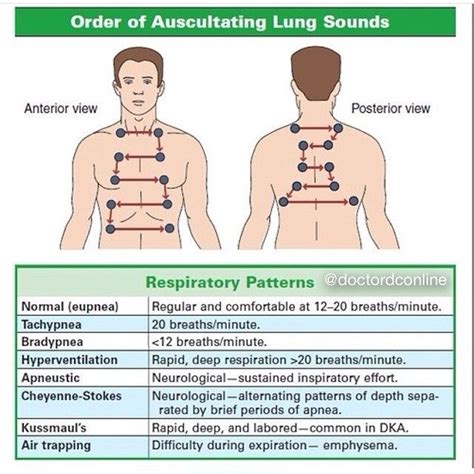 Doctor on Instagram: “Orders of Auscultating Lungs Sound and different ...