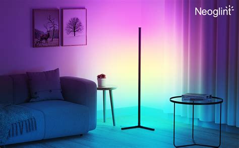 Buy CHARON Corner Floor Lamp, RGB Color Changing LED Corner Lamp, Modern Dimmable LED Floor Lamp ...
