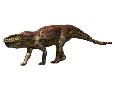 Postosuchus - Dinopedia - the free dinosaur encyclopedia