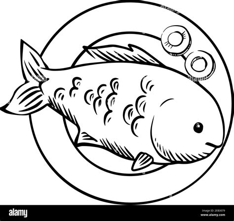 Cooked seabass Stock Vector Images - Alamy