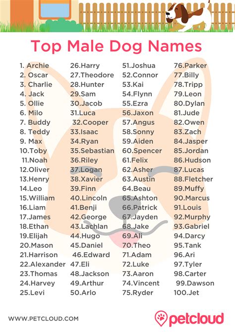 What Are The Best Boy Dog Names