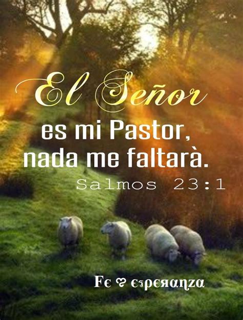 JESUS MI LUZ DIVINA: EL SEÑOR ES MI PASTOR NADA ME FALTA (Salmo 23)