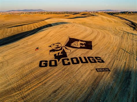 ‘Go Cougs mural’ draws attention from drivers – The Daily Evergreen