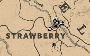 Strawberry | Red Dead Wiki | FANDOM powered by Wikia