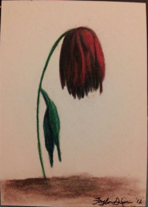 Slow Dying Flower II by TaylorAnnDixon on DeviantArt