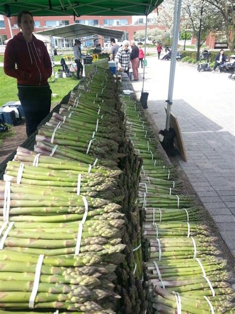 Thames River Melons grows some of the best fruits and veggies around. Here is the beginning of ...