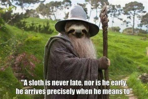 Gandsloth....perfect for some days @Leanne Williamson | Sloths funny, Sloth meme, Sloth