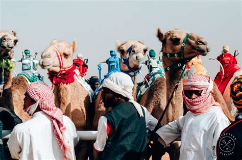 The 2nd Edition of the Camel Festival in Saudi Arabia ...