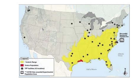 Red Wolf Habitat Map