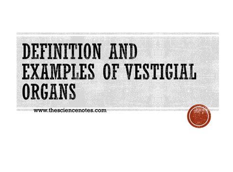 Definition and Examples of Vestigial Organs - The Science Notes