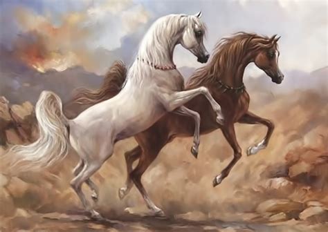 Arabian Horse History | Al Ex Arabians