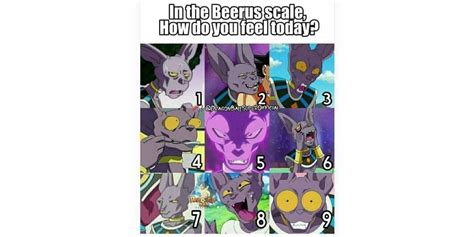 10 Funniest Beerus Memes That Make Us Laugh