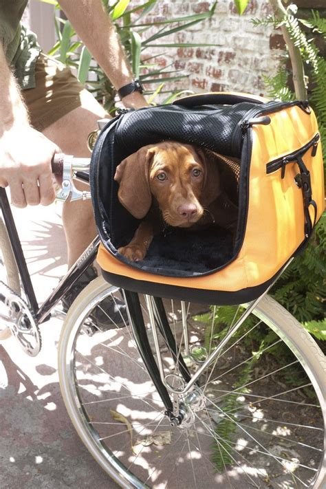 Sidekick Bicycle Pet Carrier | Dog bike carrier, Pet carriers, Dog bike basket