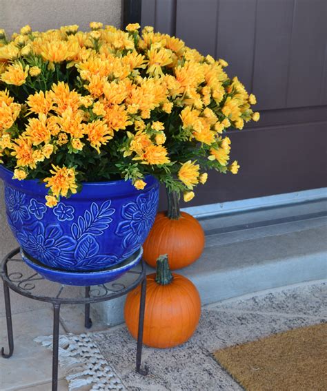 DIY Easy & Realistic Faux Fall Mums for Your Porch - Mom. Eat. Repeat ...