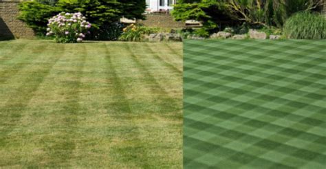 8 Stunning Grass Cutting Patterns You Should Try