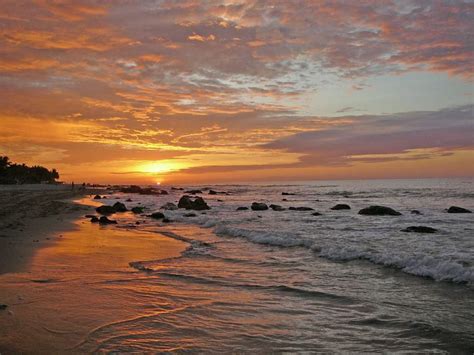 Northern Beaches - Enigma Peru