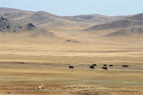 Dry Climates: Desert and Steppe - A Learning Family