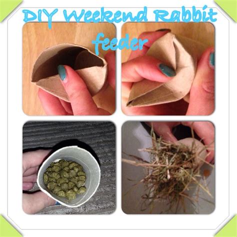 Homemade Rabbit Food & Treats: 10+ handpicked ideas to discover in Animals and pets